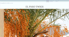 Desktop Screenshot of elpasotwigs.com