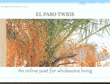 Tablet Screenshot of elpasotwigs.com